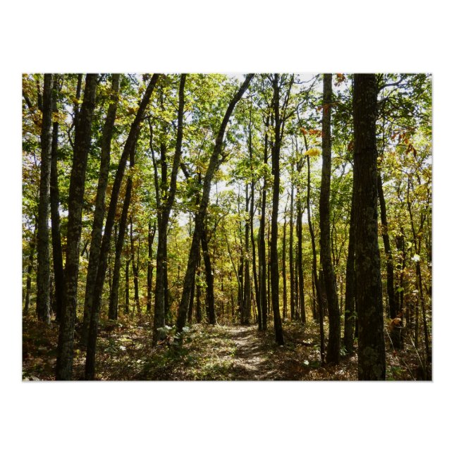 Póster Trilha Appalachian em outubro em Shenandoah (Frente)