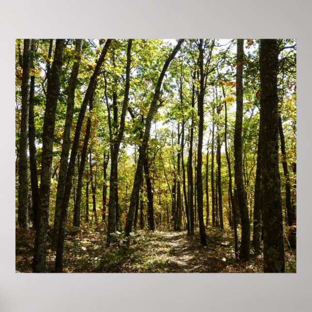 Poster Trilha Appalachian em outubro em Shenandoah (Frente)