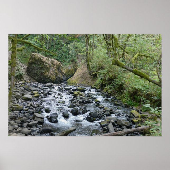 Poster Trilha Bridal Veil Falls, Oregon (Frente)