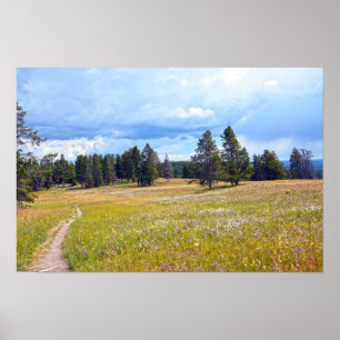 Poster Trilha da Campina do Parque Nacional de Yellowston