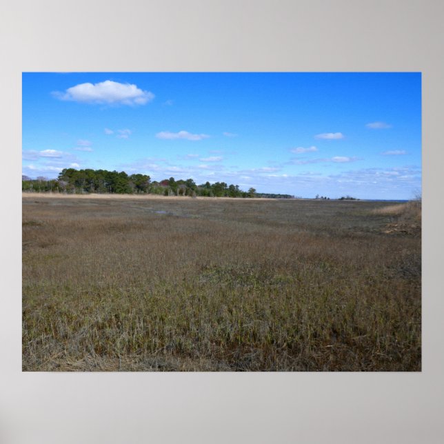 Poster Trilha da Reserva Natural da Ilha Burton (Frente)