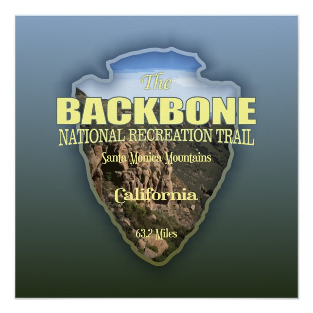 Póster Trilha de Backbone (ponta de seta) (Frente)