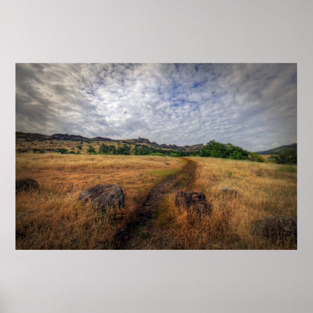 Poster Trilha de Caminho (Frente)