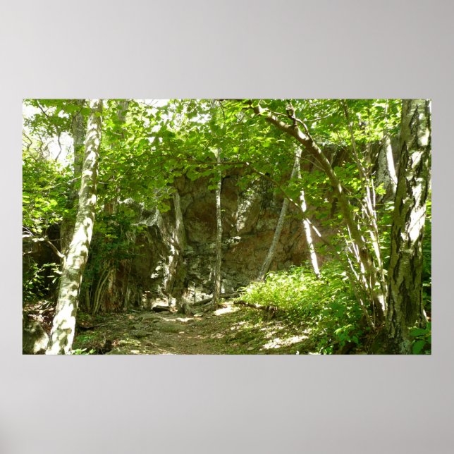 Poster Trilha de Descoberta Frazier em Shenandoah Fotogra (Frente)