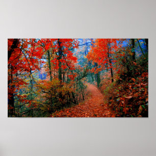 Poster Trilha de Fotografias Pintadas do outono