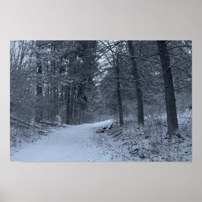 Poster Trilha de Hiking Coberta de Neve 1 (Frente)