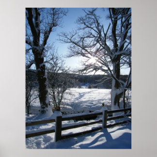 Poster Trilha de Neve