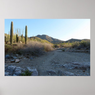 Poster Trilha do King Canyon I