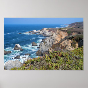 Póster Trilha e costa roscadas de Bodega Head