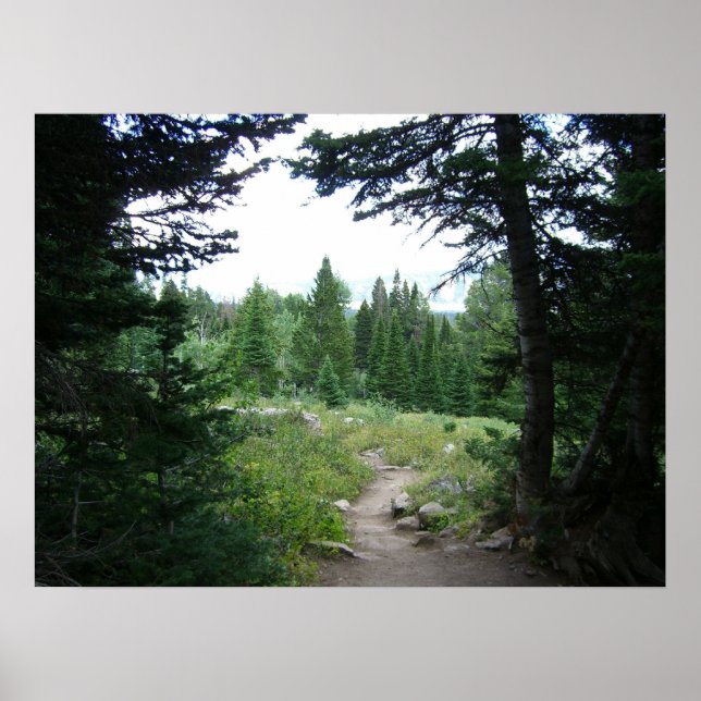Poster Trilha Grand Teton (Frente)
