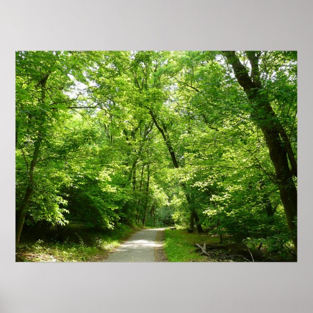Poster Trilha Grist Mill I (Frente)