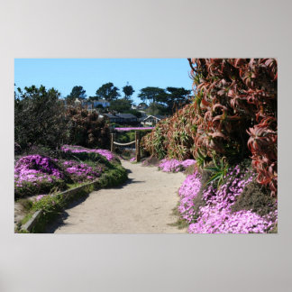 Poster Trilha Monterey Beach, Primavera Foto