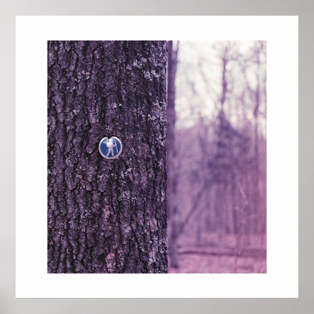 Poster Trilha no Parque Estadual da Caverna de Dunbar (Frente)