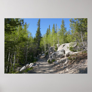 Poster Trilha para Alberta Falls