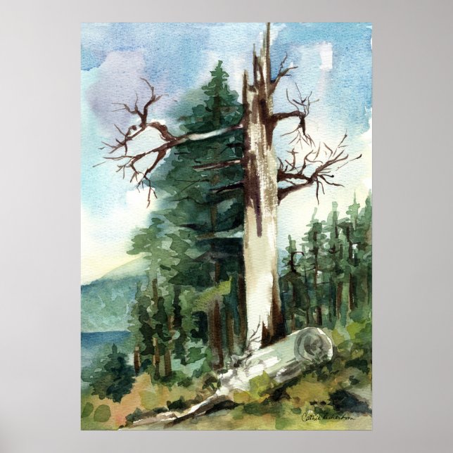 Poster Trilha para Caminhada de Árvores da Floresta Vista (Frente)