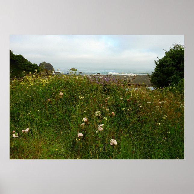 Poster Trilha Yurok Loop no Parque Nacional Redwood (Frente)
