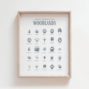 Poster Trilhas de Animais Azuis Decoração de Berçário Flo