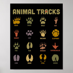 Poster Trilhas de Animais Selvagens Infantil Crianças Apr