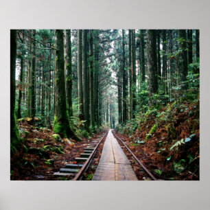 Poster Trilhas do trem na floresta