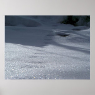 Póster Trilhas na neve