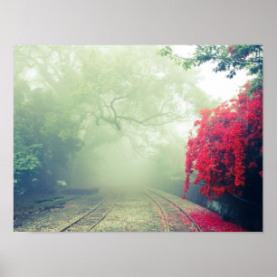 Poster Trilhos de Trem Nebulosos Foto Cênica