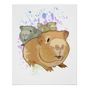 Póster Trio Colorido de Porquinhos-da-Índia Chuva de Tint