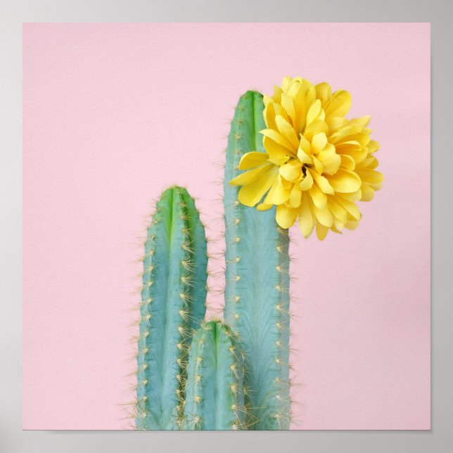 Poster Trio de Cactus Azul (Frente)