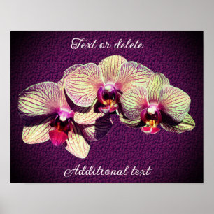 Poster Trio de Flor Orquídeo Adicionar Seu Próprio Texto
