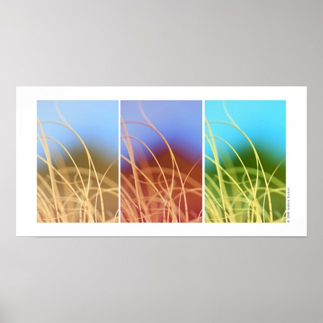 Poster Trio de Grass Macro (Frente)
