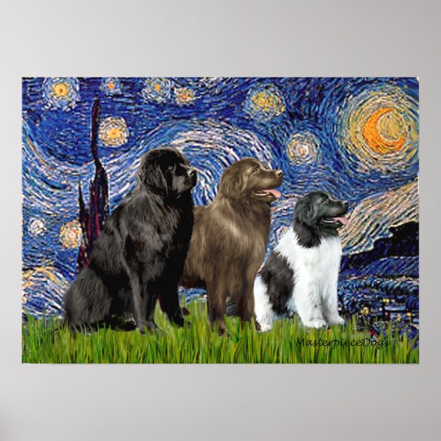 Póster Trio de Newfie - Noite Estrelada (Frente)