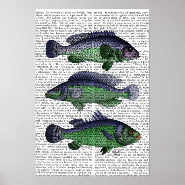 Poster Trio de Peixes Azul e Verde (Frente)