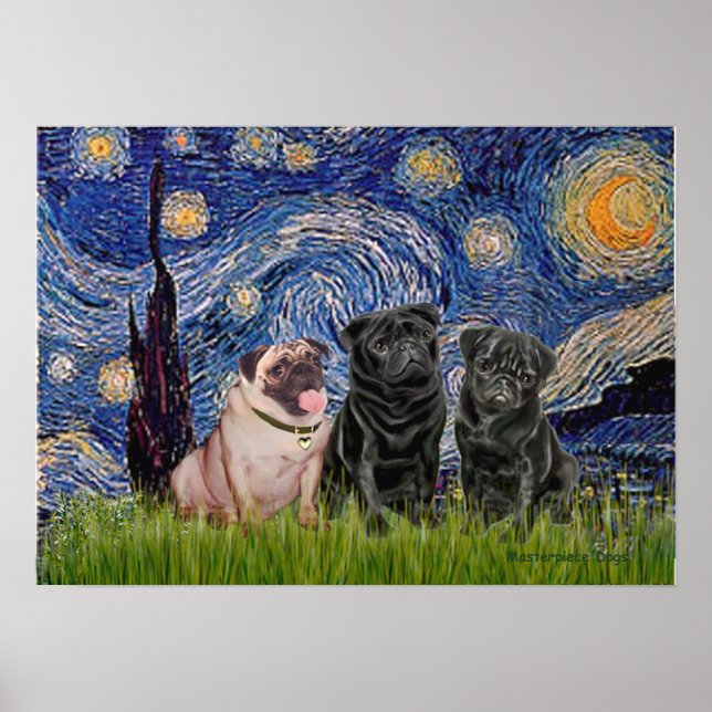 Póster Trio de Pug (1F,2B) - Noite Estrelada (Frente)