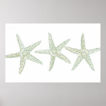 Trio de Starfish da Aquarela