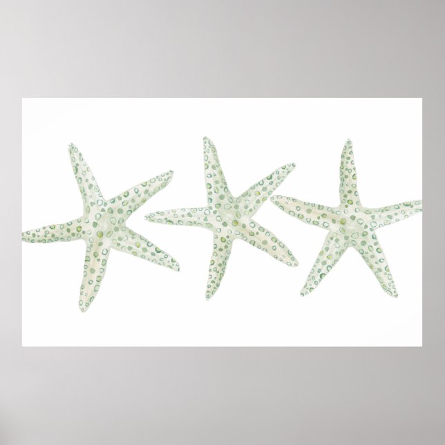 Poster Trio de Starfish da Aquarela (Frente)