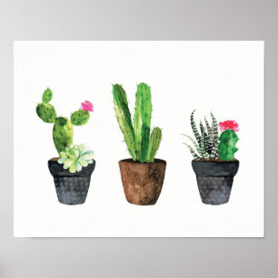Póster Trio dois do cacto e do Succulent