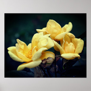 Poster Trio Rosa Amarelo