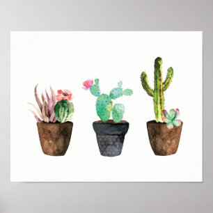 Póster Trio um do cacto e do Succulent