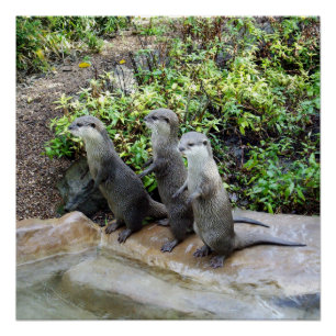 Póster **"Tripla Problema: As Aventuras de Outro Triplet