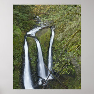 Póster Triple Falls, Garganta do Rio Columbia