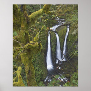 Poster Triple Falls, Garganta do Rio Columbia