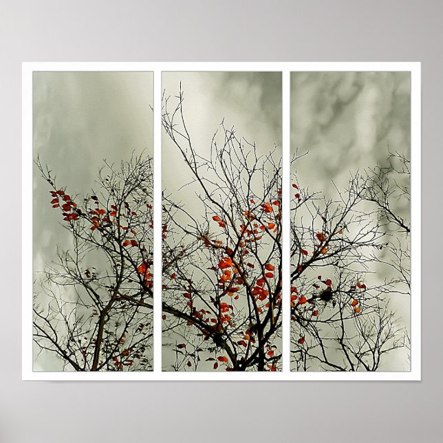 Póster Triptych com motivo natural (Frente)