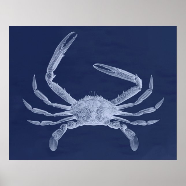 Poster Triptych de caranguejo em azul (Frente)