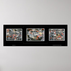 Póster Triptych de Koi