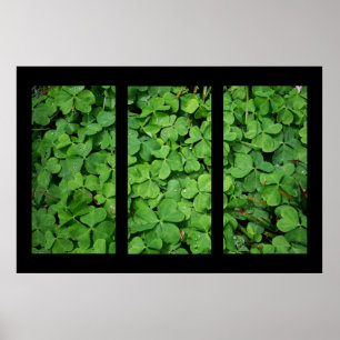 Poster Triptych do Cloverleaf