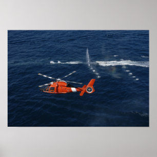 Poster Tripulação de helicópteros
