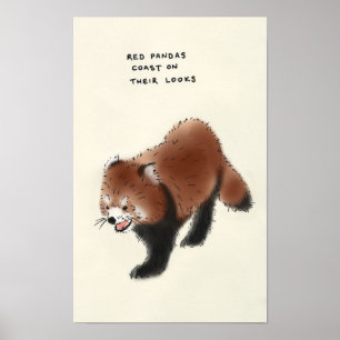 Póster trivialidade da panda vermelha