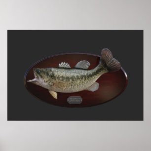 Poster Troféu de Bassas Verde Largemouth