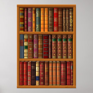 Póster Trompe l'oeil "French library".
