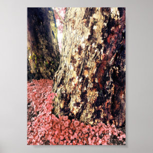 Poster troncos de árvore