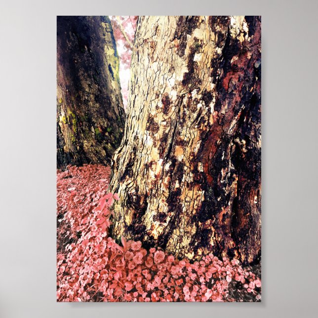 Poster troncos de árvore (Frente)